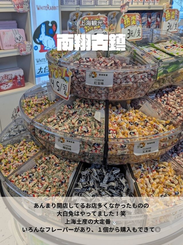 🇨🇳上海近郊のオールドタウン