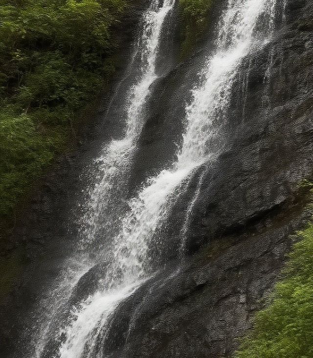 八百年無蚊傳奇！丁屋嶺：深山裡的客家避世秘笈