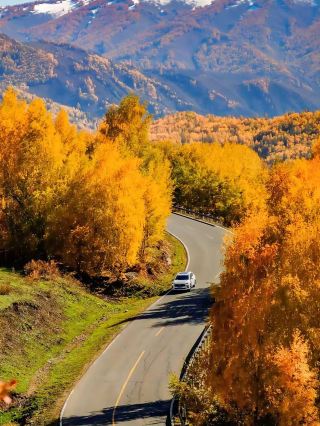 How to choose between Northern Xinjiang or Southern Xinjiang for a trip in September and October?