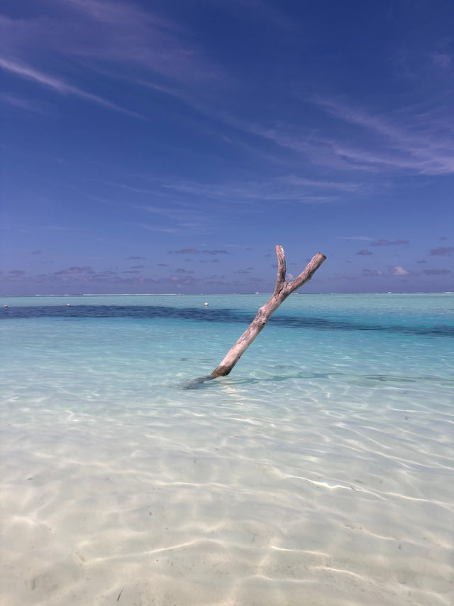 Heavenly Island Retreat with Stellar Service