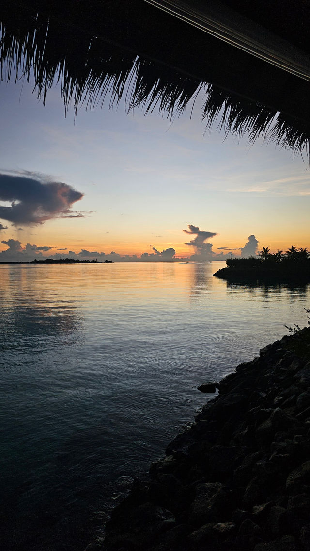 Returning to Hilton Maldives Amingiri: A Home Away from Home