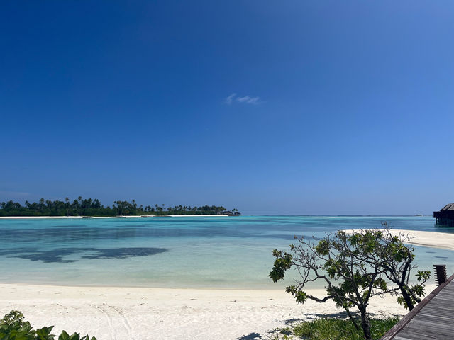Honeymoon Bliss at Sun Siyam