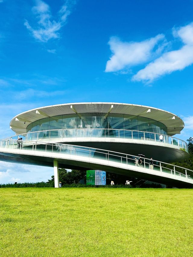 深圳公園天花板恩上濕地公園全攻略