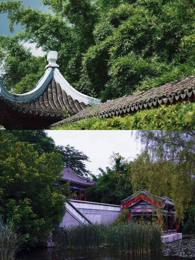 廈門絕美寶藏地！園博苑一整天都逛唔晒~