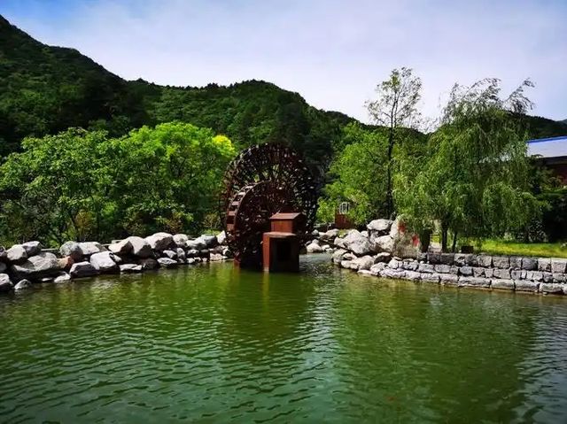 邊個識呀！臨汾藏咗個「雲端仙境」，吸氧、影相、湊小朋友全部搞掂晒，連本地人都私藏！🌤️
