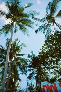 島民生活太快樂了