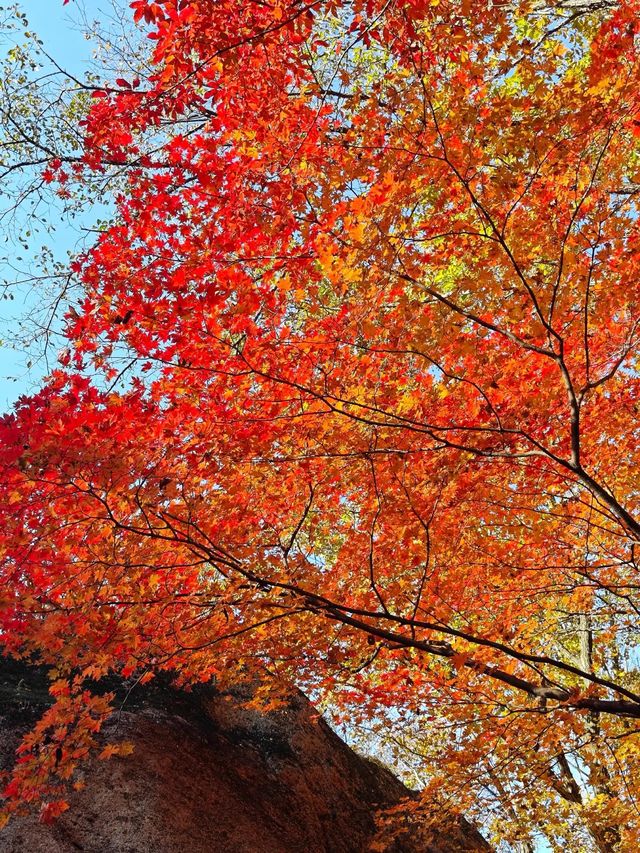 五女山秋：紅葉雲海，遼東秘境