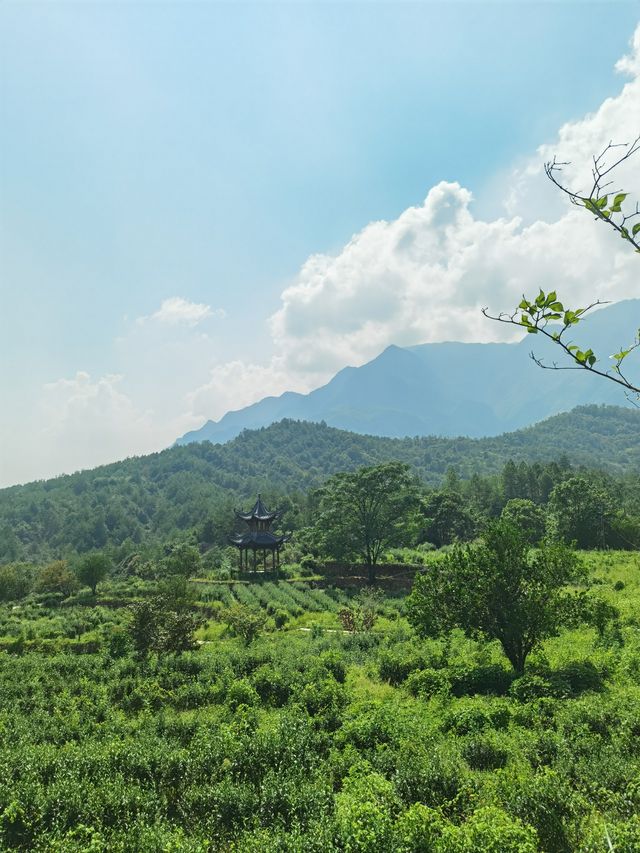 千年古橋觀音橋——真實存在的時光隧道！