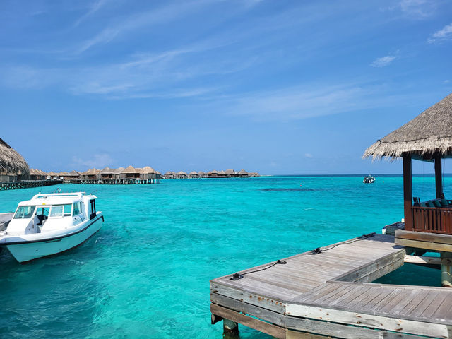 Incredible Vacation Experience Incredible Vacation Experience