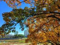 大連西山水庫賞楓指南：藏在市區的秋日限定紅韻