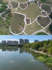 打卡宜昌沙河，邂逅公園與自然的浪漫