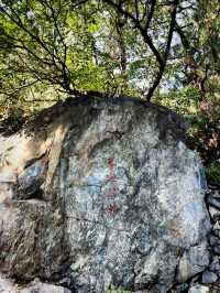 香山紅葉限定指南