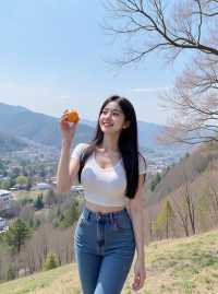 絕美柿子季來了！盤點杭州周邊6大必打卡柿林