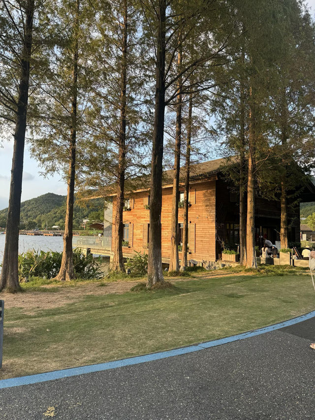 秋色湖景打卡聖地 東錢湖｜100次打卡都嫌不夠的寶藏地
