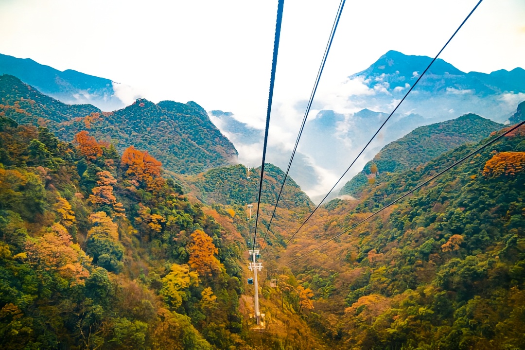 Gold Buddha Mountain Tickets [2025] Promos, Prices, Reviews