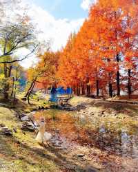 埼玉的北歐秋天！超夢幻姆明主題森林公園