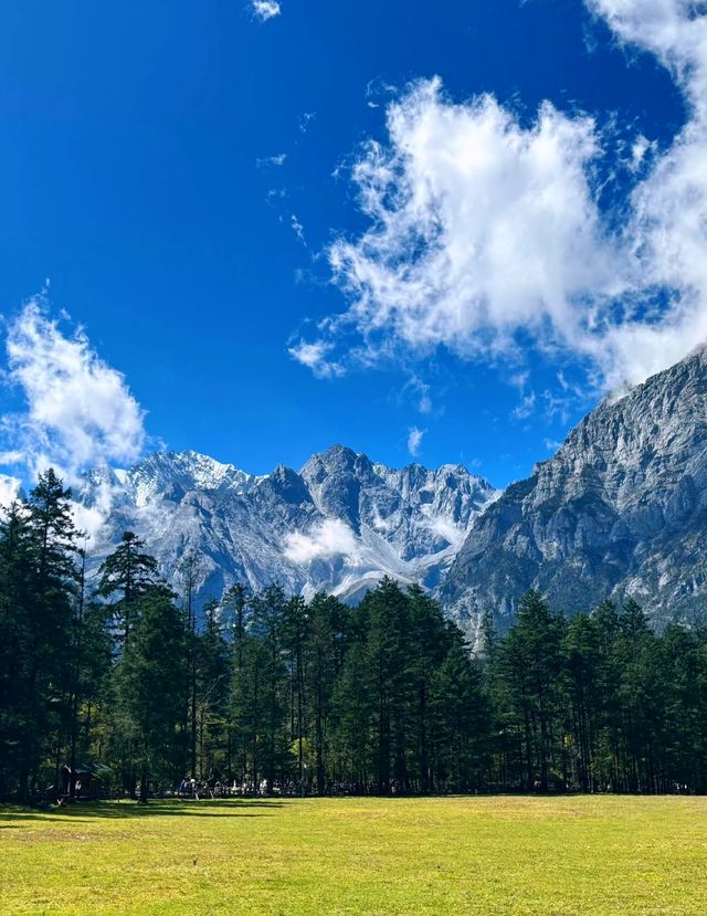 雲杉坪藍月谷打卡必去地