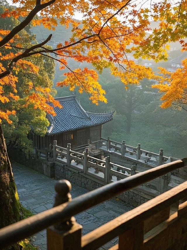 墜入秋天的童話天台山秋日漫遊指南