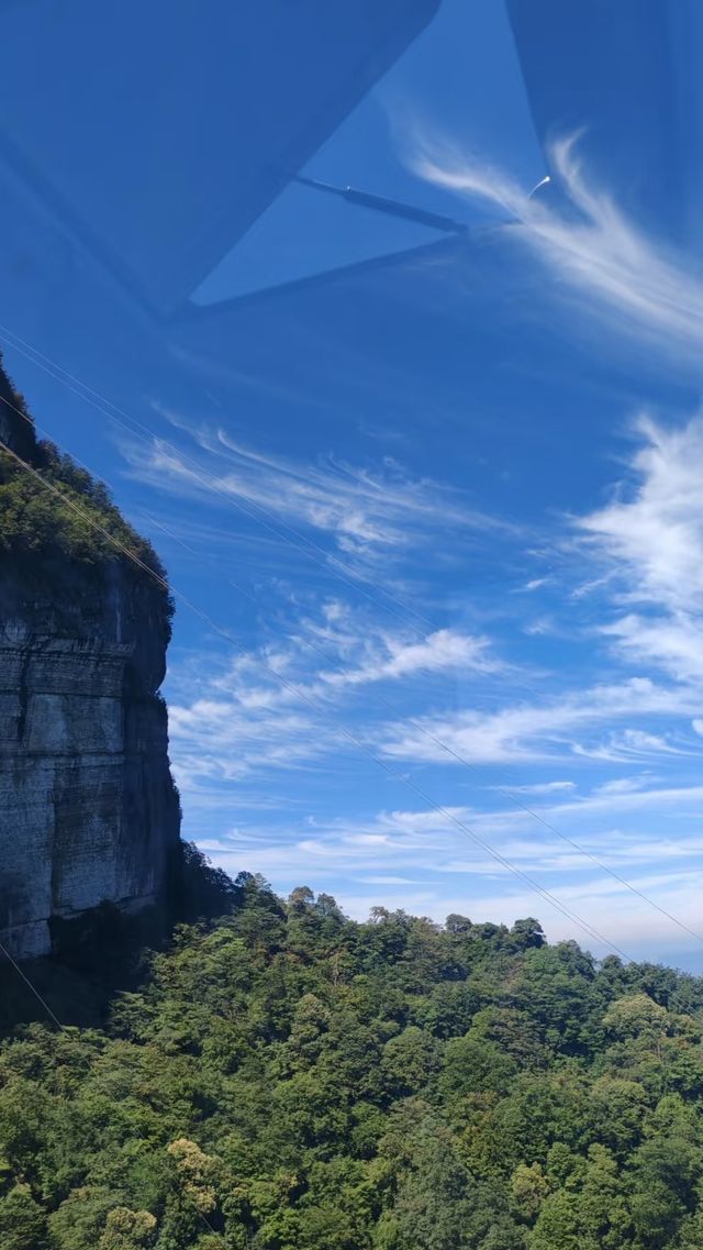 重慶周邊遊｜金佛山秋季遊玩全攻略