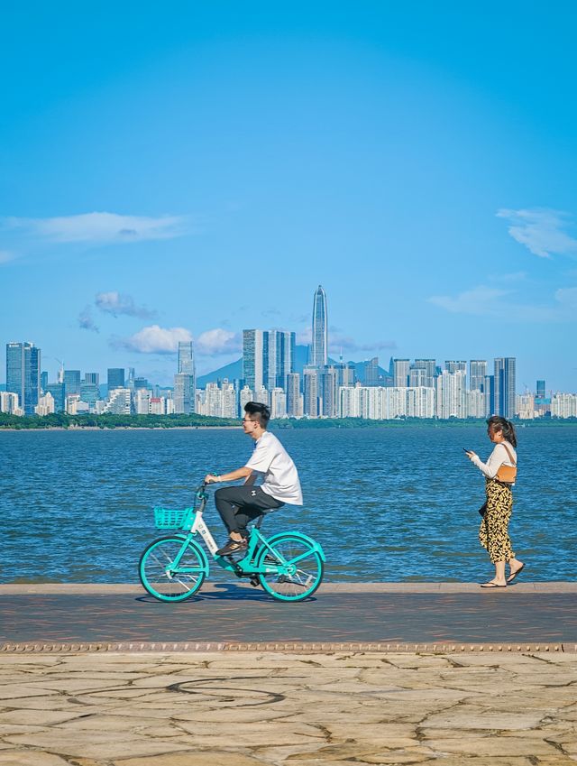 深圳騎行，晴天的深圳灣簡直是人間美好！
