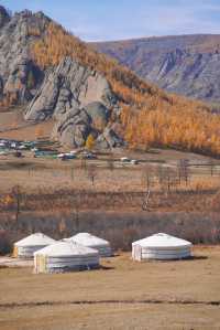 在蒙古國追到了一場盛大的秋天