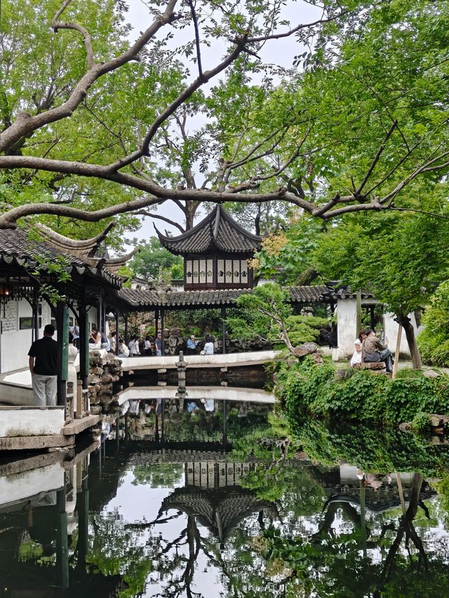拙政園深度漫遊:藏在光影裡的中式美學天花板 拙政園深度漫遊:藏在光影裡的中式美學天花板