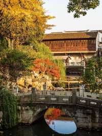 蘇州的秋天,堪稱中式美學天花板!!