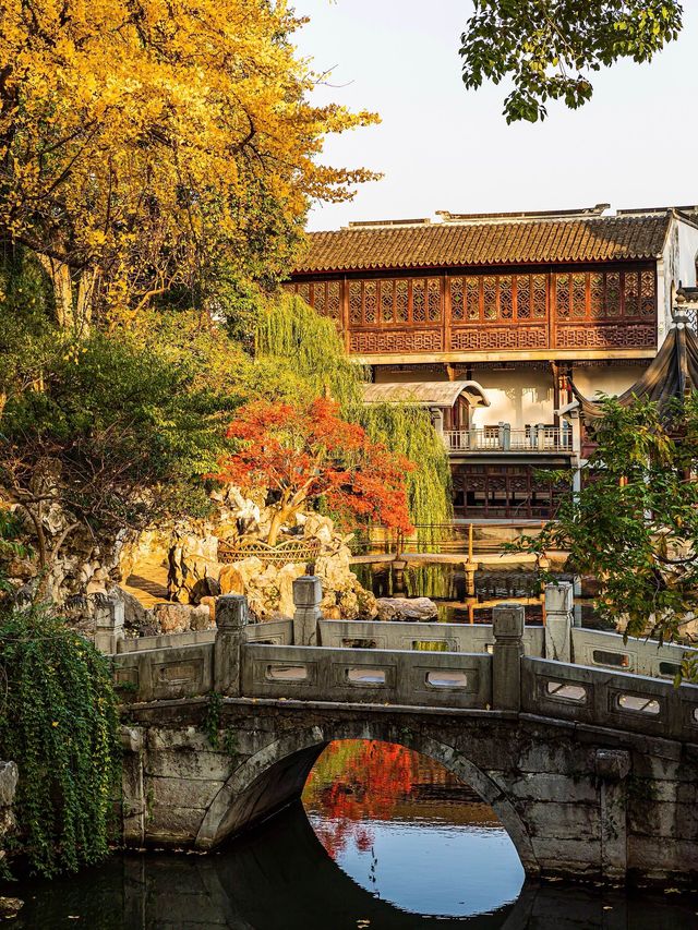 蘇州的秋天,堪稱中式美學天花板!! 蘇州的秋天,堪稱中式美學天花板!!