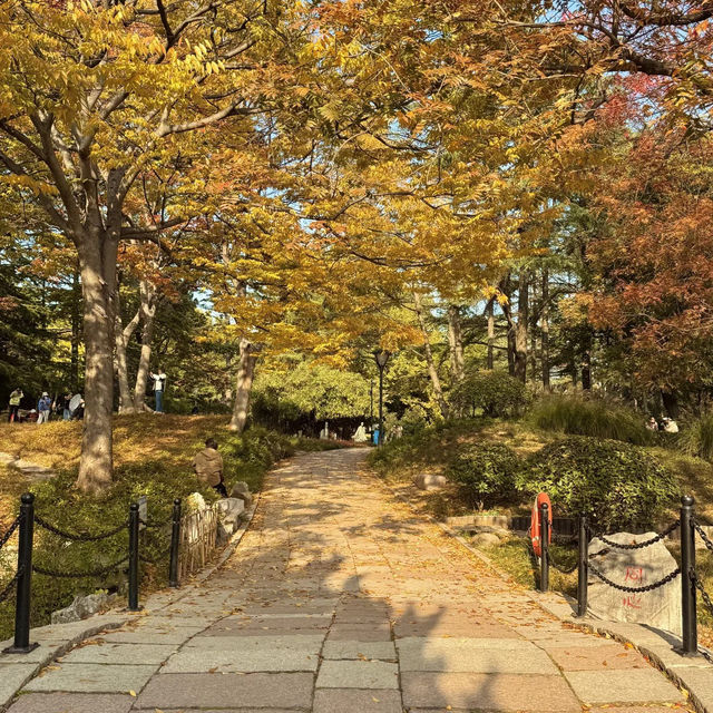  청도의 가을, 이 공원에서 모든 걱정이 사라졌어요 🍂