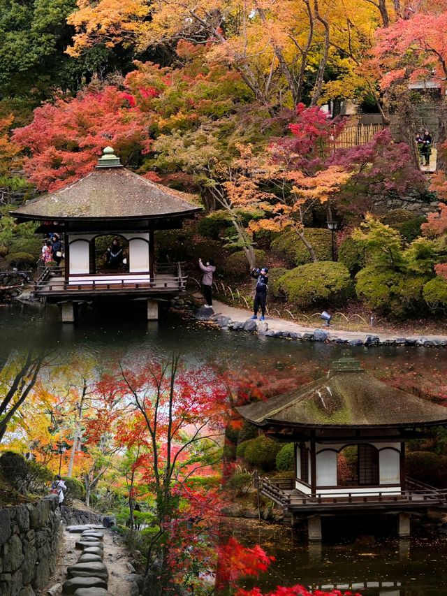 親子必看!和歌山高端不費媽玩法·3天2晚全攻略 親子必看!和歌山高端不費媽玩法·3天2晚全攻略