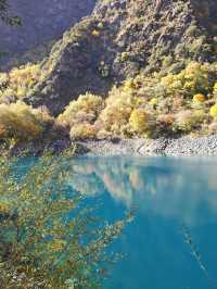 11月松坪溝美到窒息！彩林映碧水，一天才花130元！