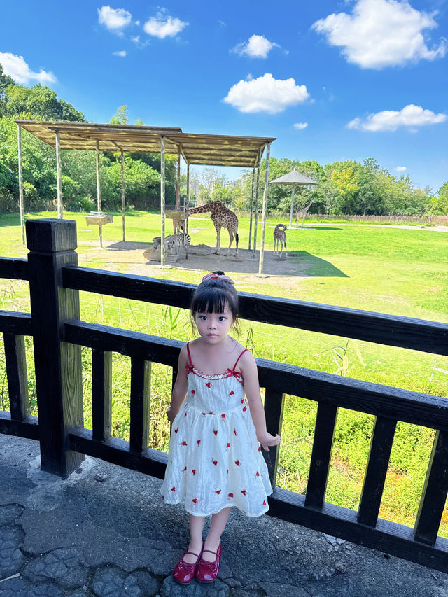 寧波一日遊!寧波野生動物園遛娃全職業攻略! 寧波一日遊!寧波野生動物園遛娃全職業攻略!