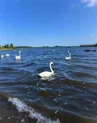 闖入童話水世界！羊角村全攻略，漫遊荷蘭威尼斯的詩意時光