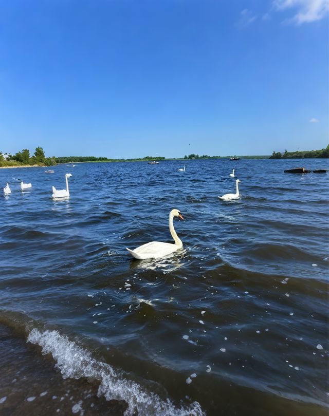 闖入童話水世界！羊角村全攻略，漫遊荷蘭威尼斯的詩意時光