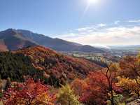 別再去香山了！北京免費紅葉秘境絕美