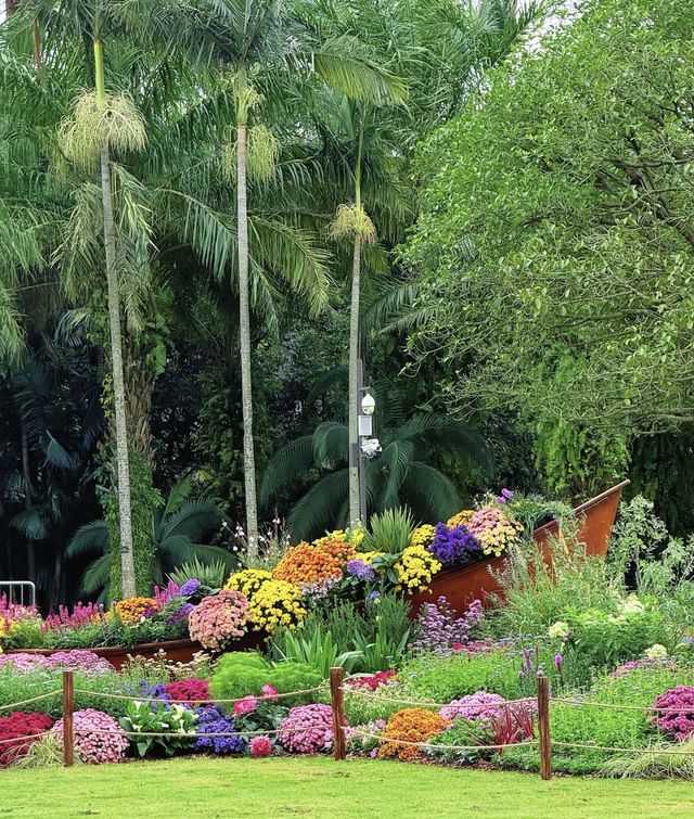 深圳仙湖花展開展啦 深圳仙湖花展開展啦