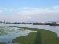 鄱陽湖落星墩攻略 枯水見草原汛期現樓閣的千年秘境