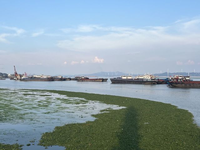 鄱陽湖落星墩攻略 枯水見草原汛期現樓閣的千年秘境