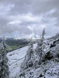 被喀納斯的美震撼到說不出話這才是新疆旅遊的天花板,阿勒泰皇冠上的明珠說的就是這裡吧 【必