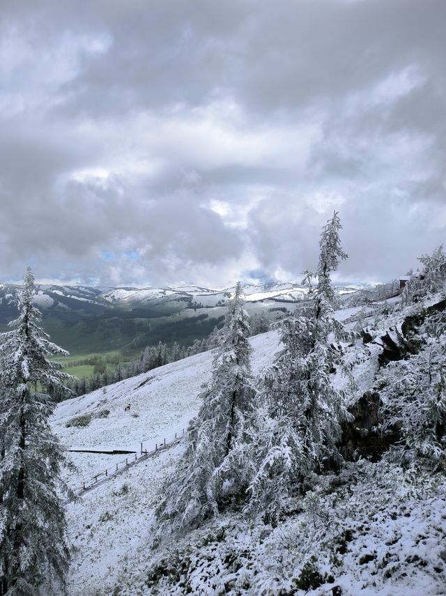 被喀納斯的美震撼到說不出話這才是新疆旅遊的天花板,阿勒泰皇冠上的明珠說的就是這裡吧 【必 被喀納斯的美震撼到說不出話這才是新疆旅遊的天花板,阿勒泰皇冠上的明珠說的就是這裡吧 【必