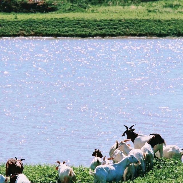 初冬江浙滬徒步指南丨金秋限定美景打卡地全公開！