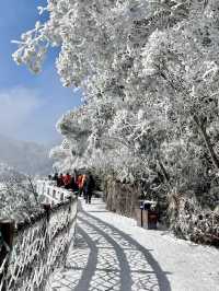 廣東雪景平替1.5h直達莽山絕美霧淞秘境