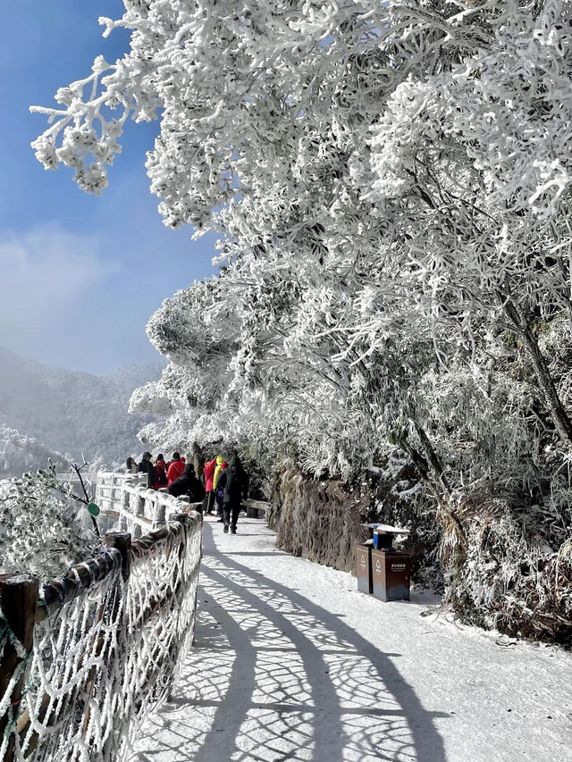 廣東雪景平替1.5h直達莽山絕美霧淞秘境