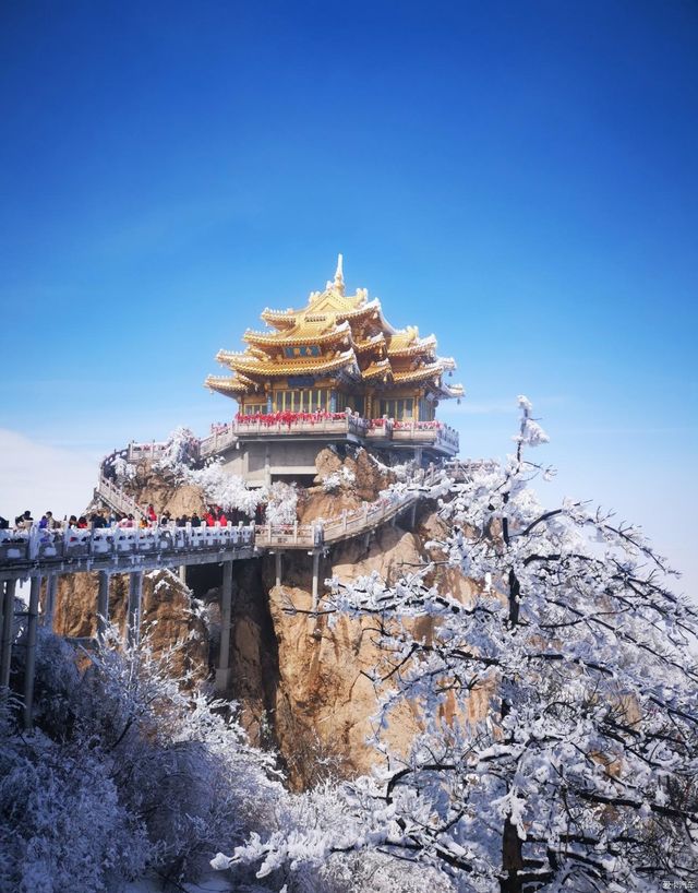 絕壁仙境全攻略