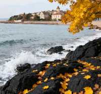 八大關的秋天,是上帝打翻的調色盤|青島賞秋天花板