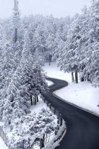 是童話裡的雪景啊,這裡美哭了!