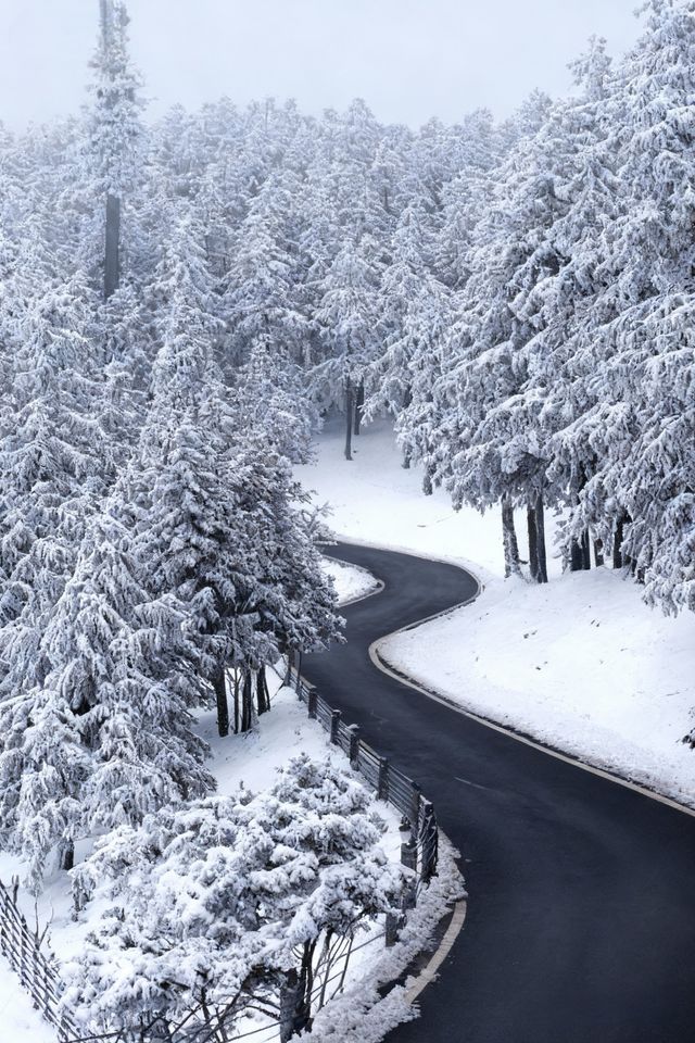是童話裡的雪景啊,這裡美哭了! 是童話裡的雪景啊,這裡美哭了!