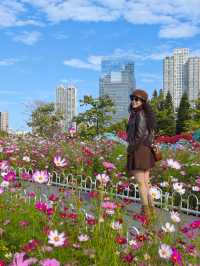 二沙島園林展暴走攻略