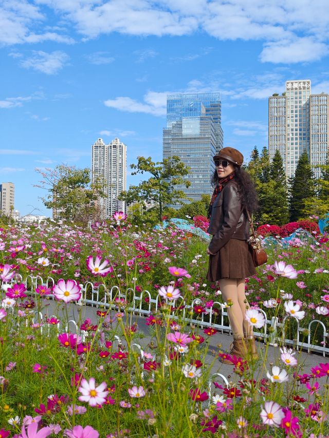 二沙島園林展暴走攻略 二沙島園林展暴走攻略