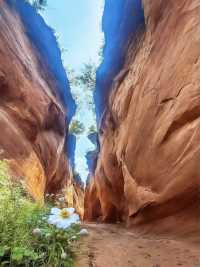 延安1日包車遊打卡必去寶藏地